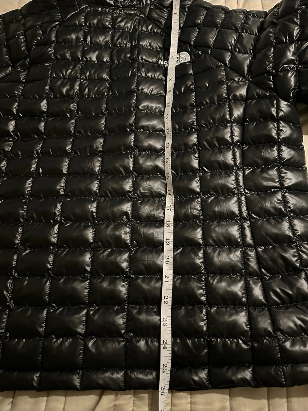 The North Face north face